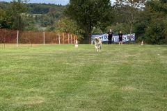 Foto-24.08.25-13-39-26-1