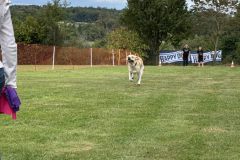 Foto-24.08.25-13-39-27