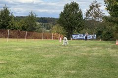 Foto-24.08.25-13-46-36