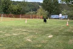 Foto-24.08.25-14-06-04