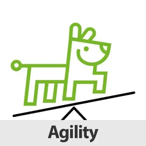 Agility